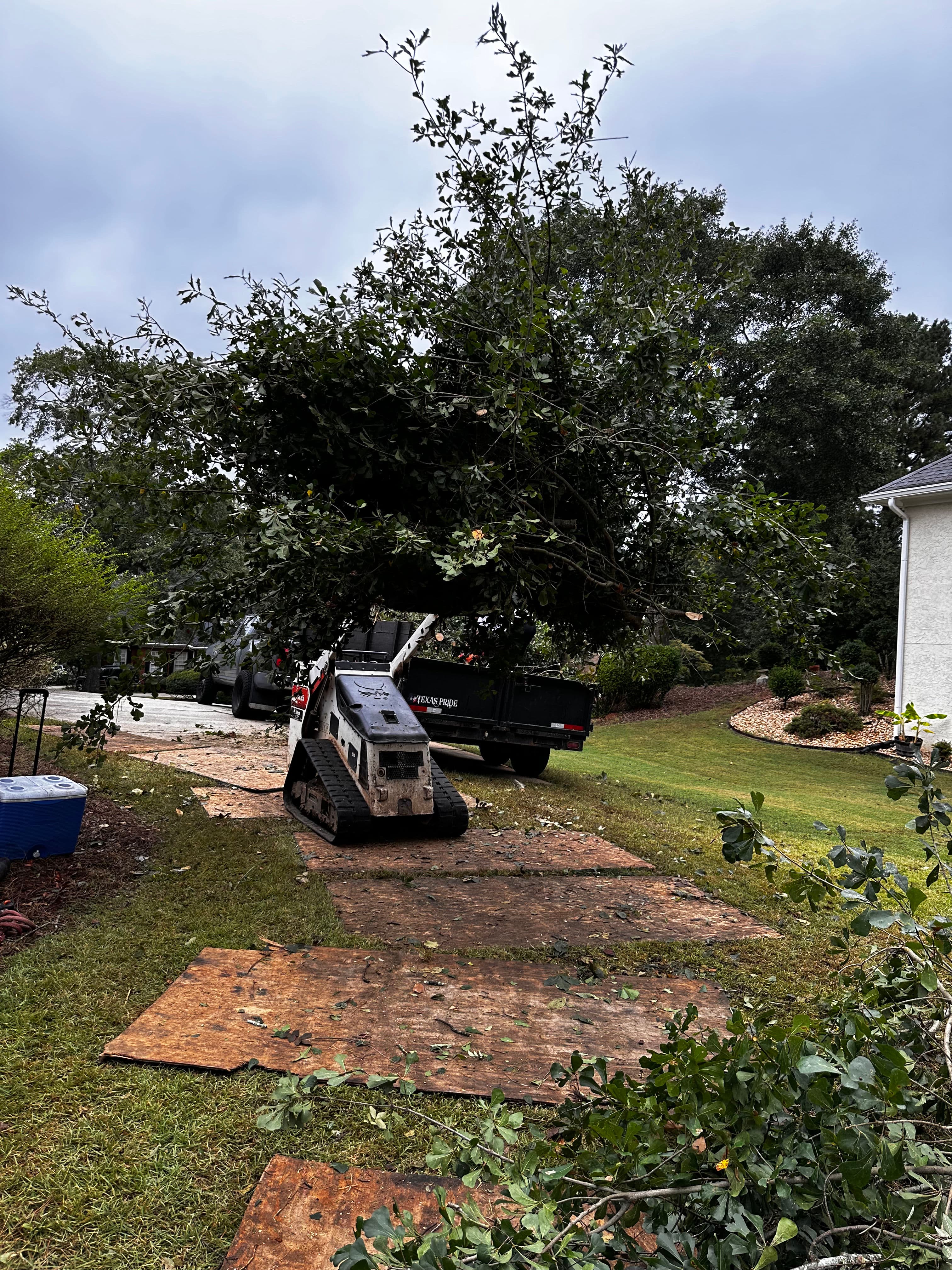 Project Tree Removal Made Safe and Efficient image